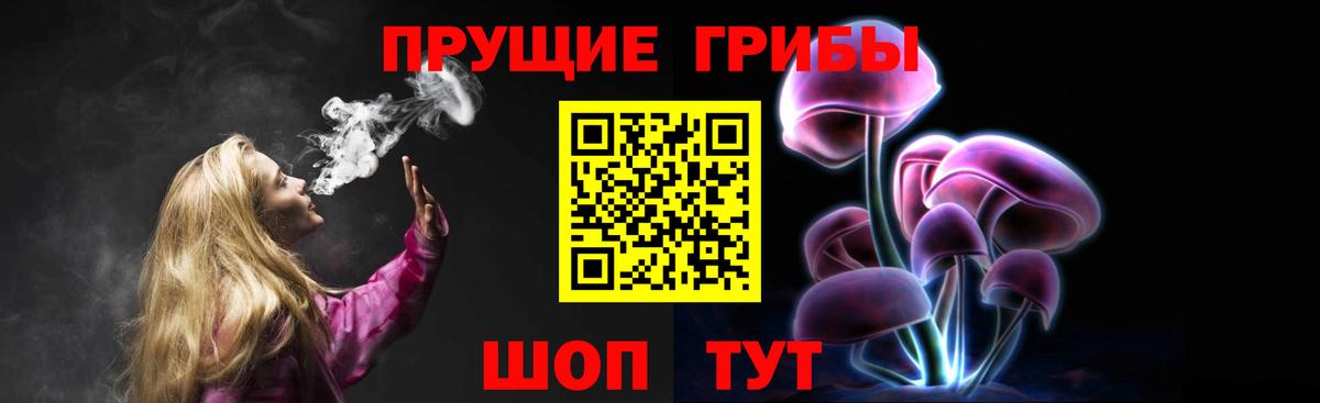 Галлюциногенные грибы Psilocybine cubensis  Вход с VPN  Тимашёвск 